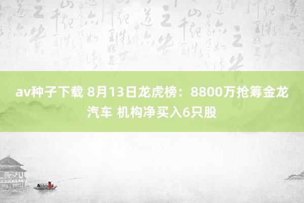 av种子下载 8月13日龙虎榜：8800万抢筹金龙汽车 机构净买入6只股