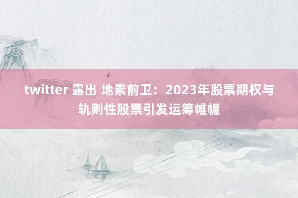 twitter 露出 地素前卫：2023年股票期权与轨则性股票引发运筹帷幄