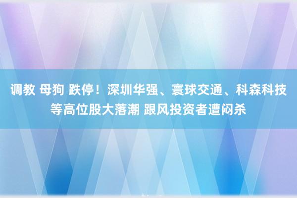 调教 母狗 跌停！深圳华强、寰球交通、科森科技等高位股大落潮 跟风投资者遭闷杀