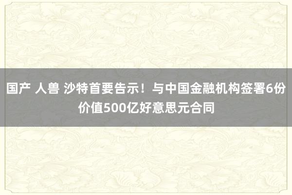 国产 人兽 沙特首要告示！与中国金融机构签署6份价值500亿好意思元合同