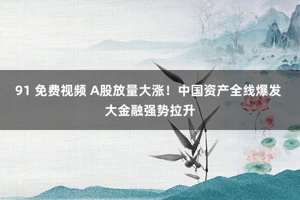 91 免费视频 A股放量大涨！中国资产全线爆发 大金融强势拉升