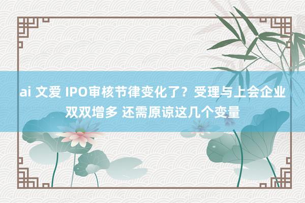 ai 文爱 IPO审核节律变化了？受理与上会企业双双增多 还需原谅这几个变量