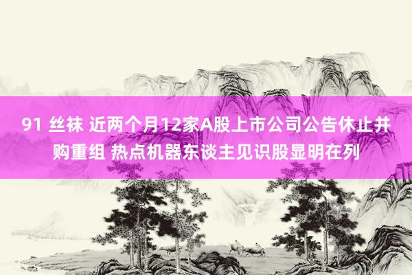 91 丝袜 近两个月12家A股上市公司公告休止并购重组 热点机器东谈主见识股显明在列