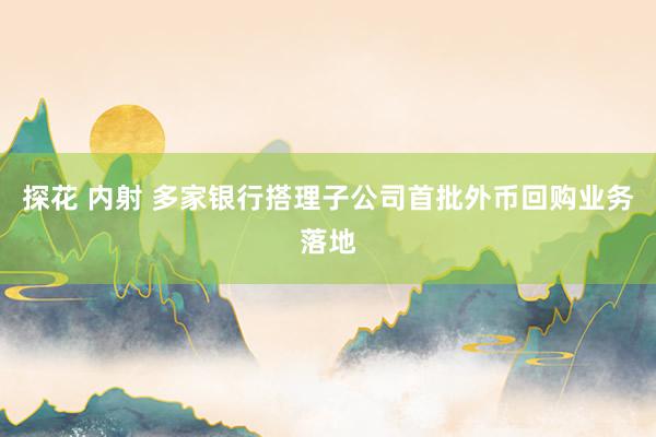 探花 内射 多家银行搭理子公司首批外币回购业务落地