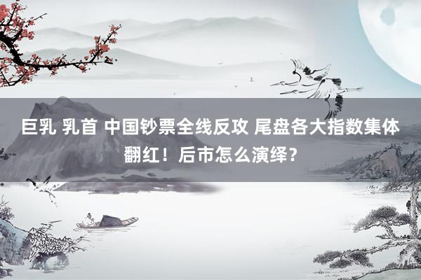 巨乳 乳首 中国钞票全线反攻 尾盘各大指数集体翻红！后市怎么演绎？